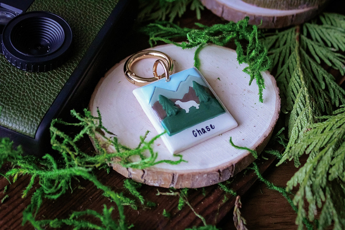 Picture Perfect Adventure