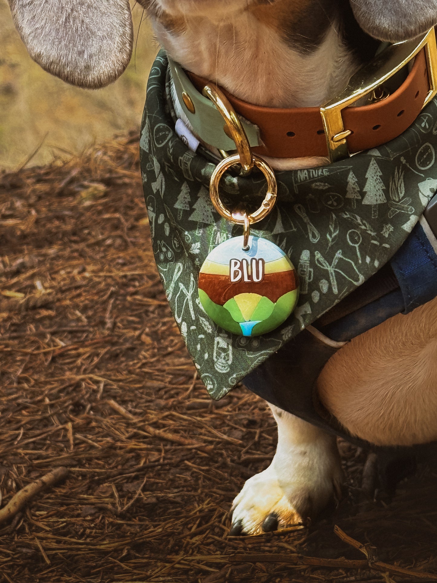 New River Gorge National Park Tag