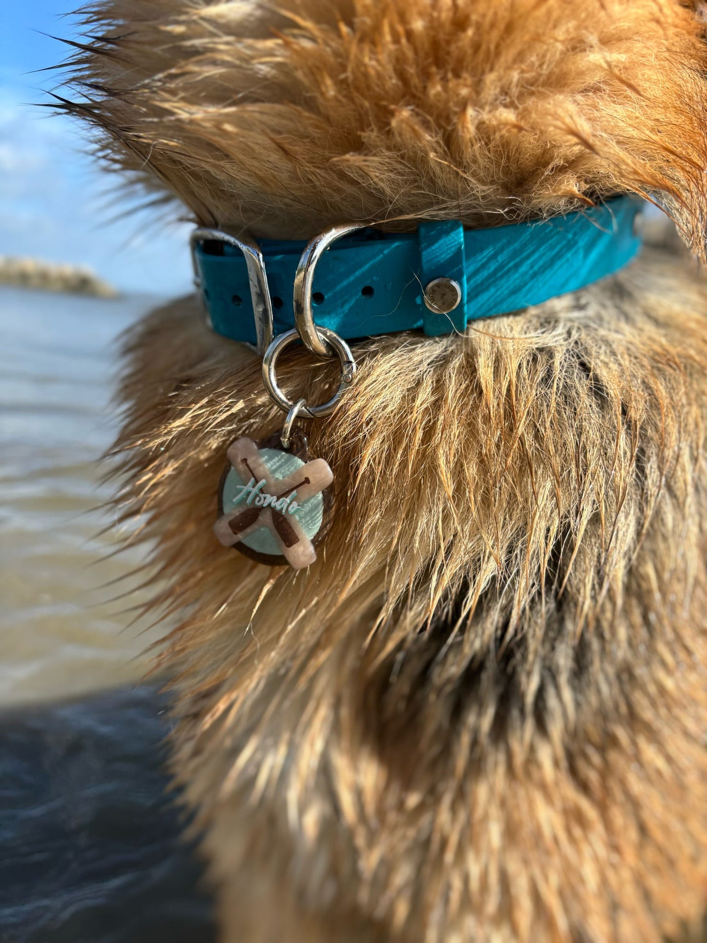 PFAF 1” Simple BioThane Buckle Collar