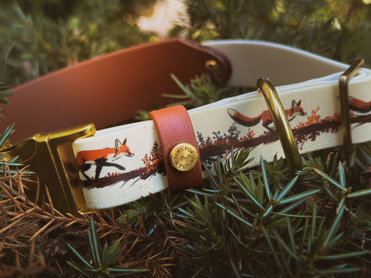 Foxfire Trail Biothane Collar