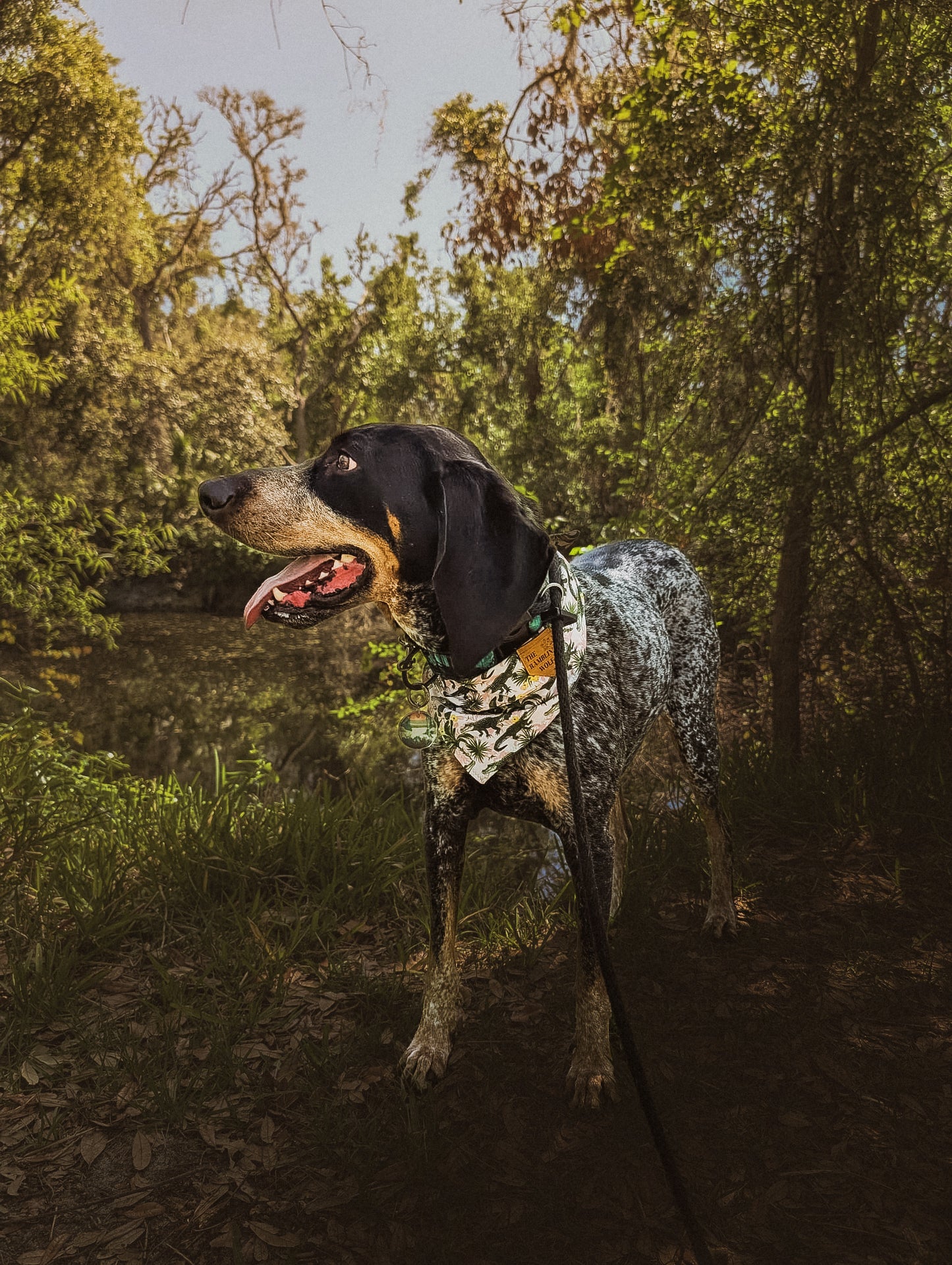 Everglades National Park Tag