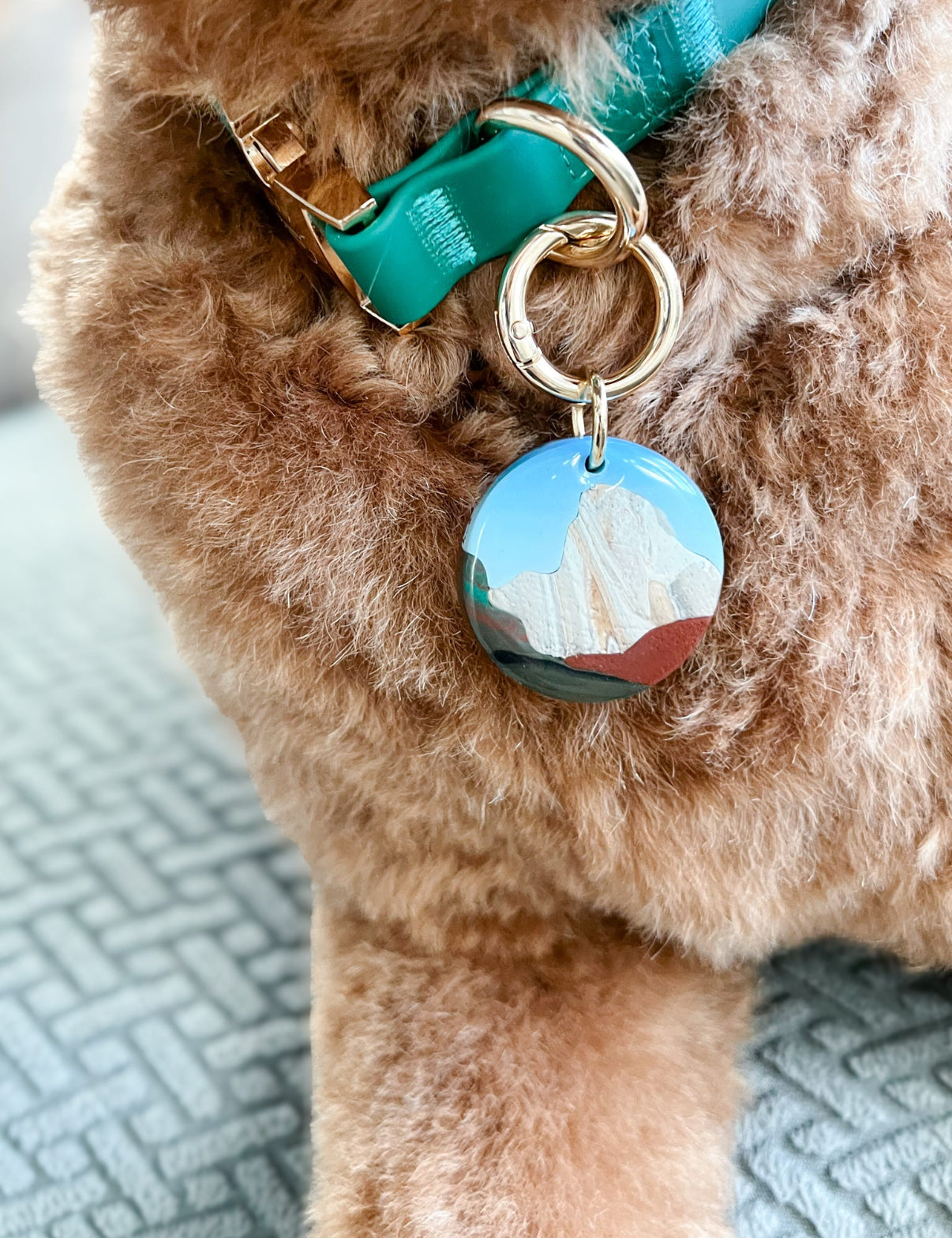 Yosemite National Park Tag