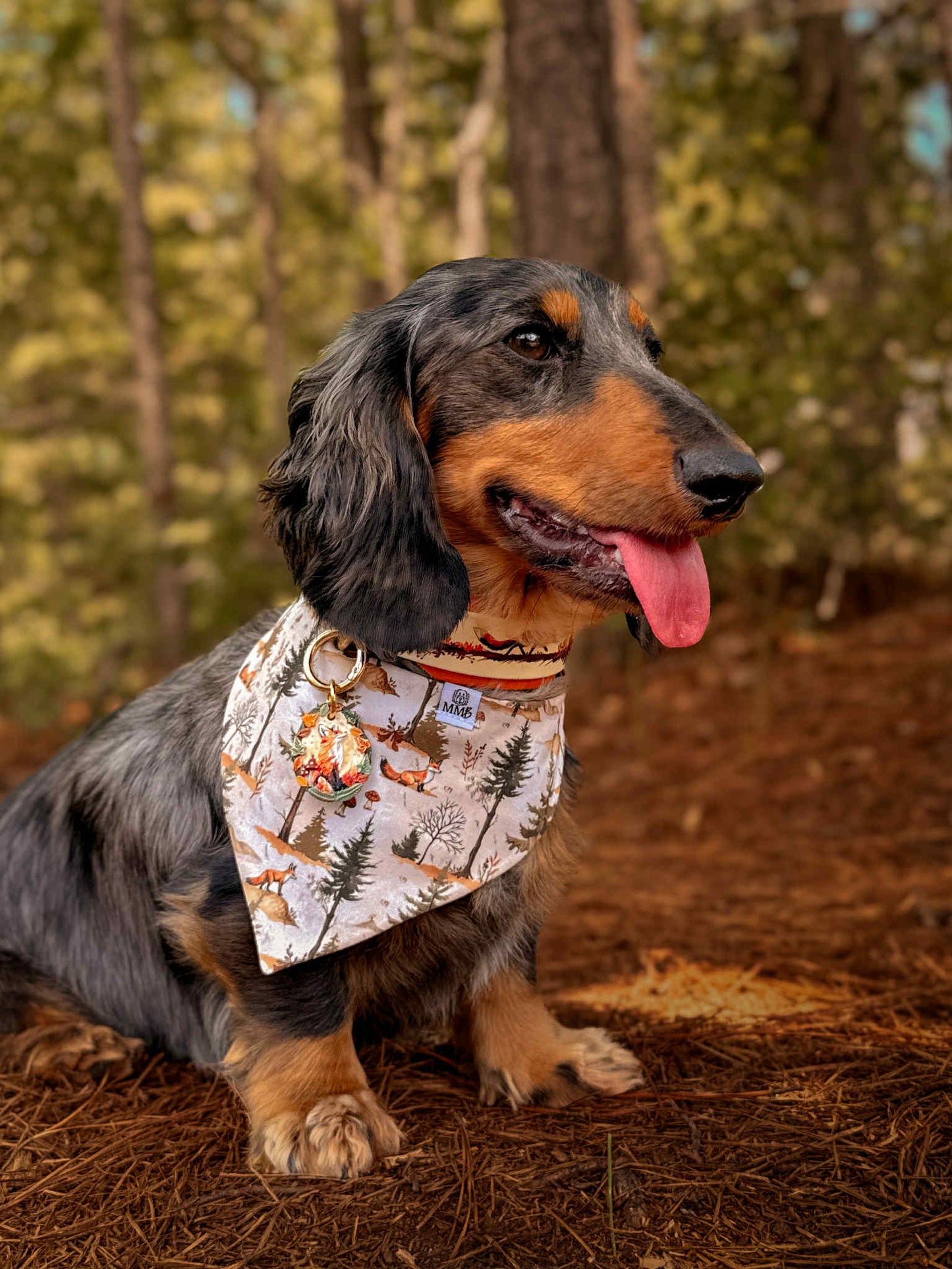 Foxfire Trail Biothane Collar