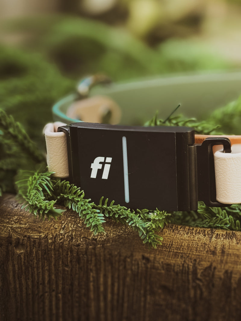 Fi GPS Collars