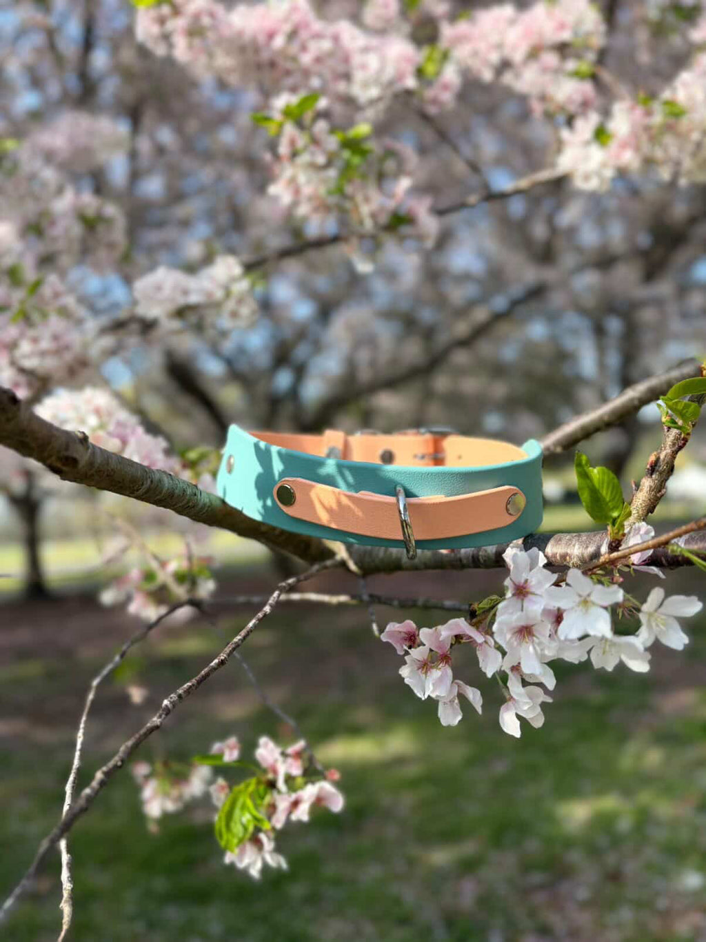 Spring Keystone Collar