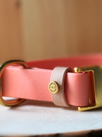 PFAF 1” Simple BioThane Quick Release Collar