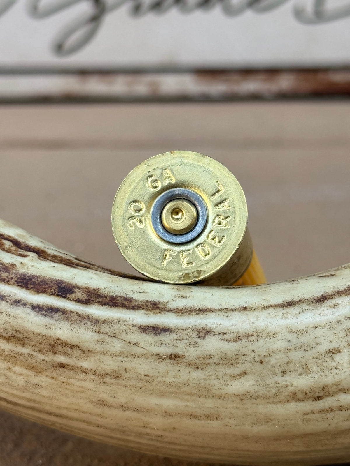 Federal Brass Shotgun Shell