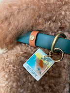 PFAF 1” Simple BioThane Quick Release Collar