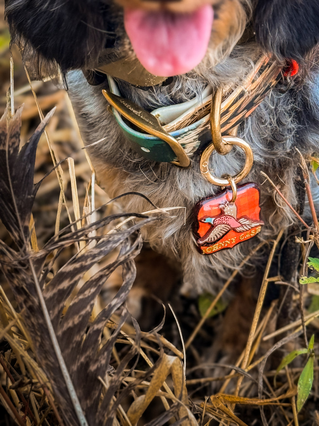 Pheasant & Flush Tag