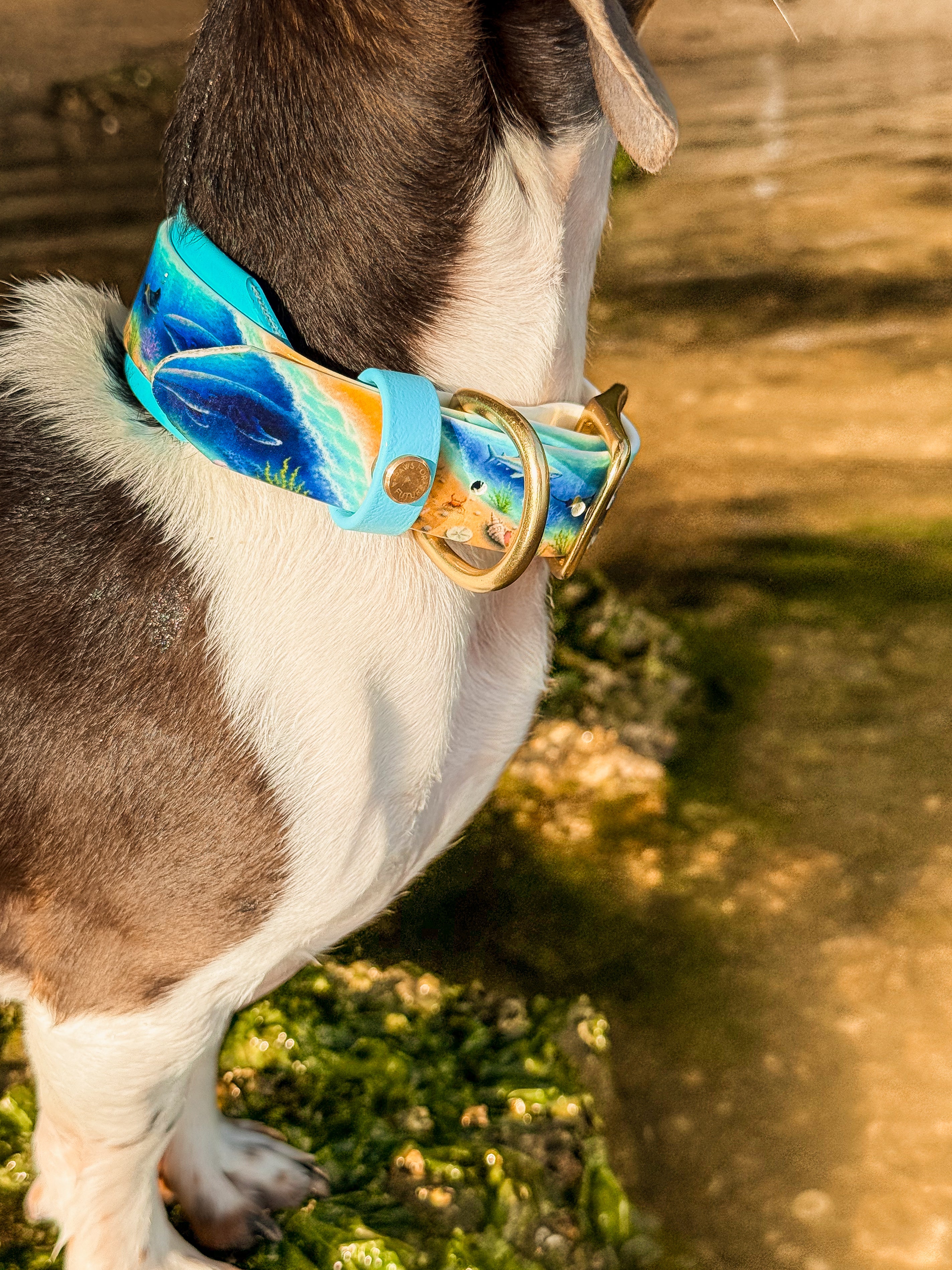 Ocean Odyessy Collar