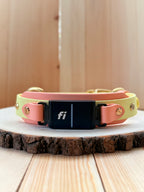 Spring Fi GPS Compatible BIO Collar