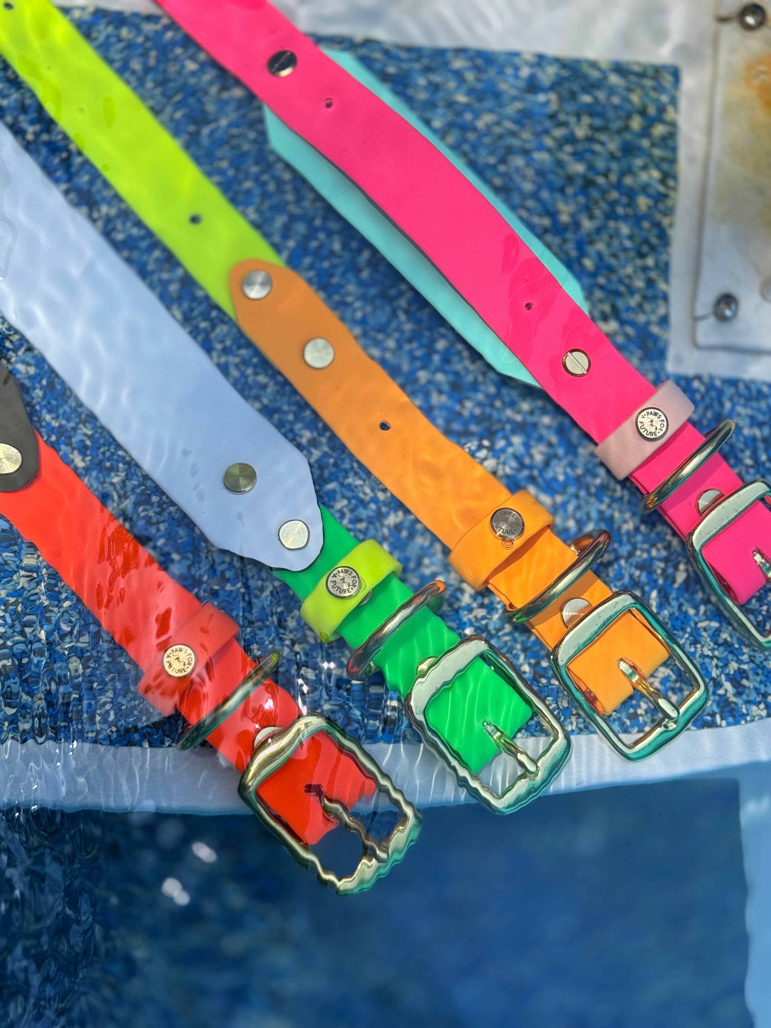 Neon Summer Keystone Collar