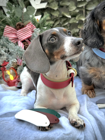 Vintage Holiday Collar Bundle