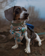 Shenandoah National Park Tag