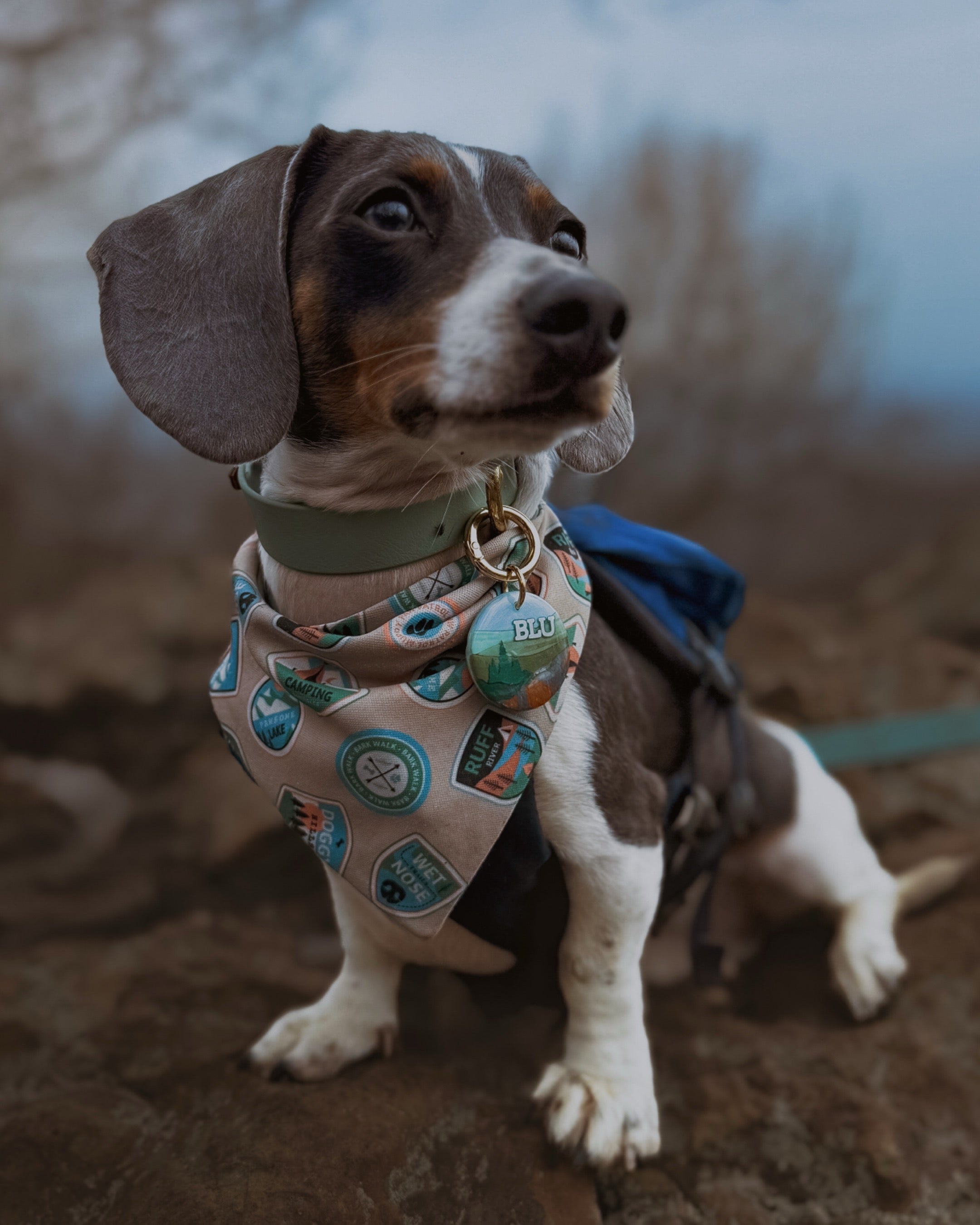 Shenandoah National Park Tag