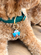 PFAF 1” Simple BioThane Quick Release Collar