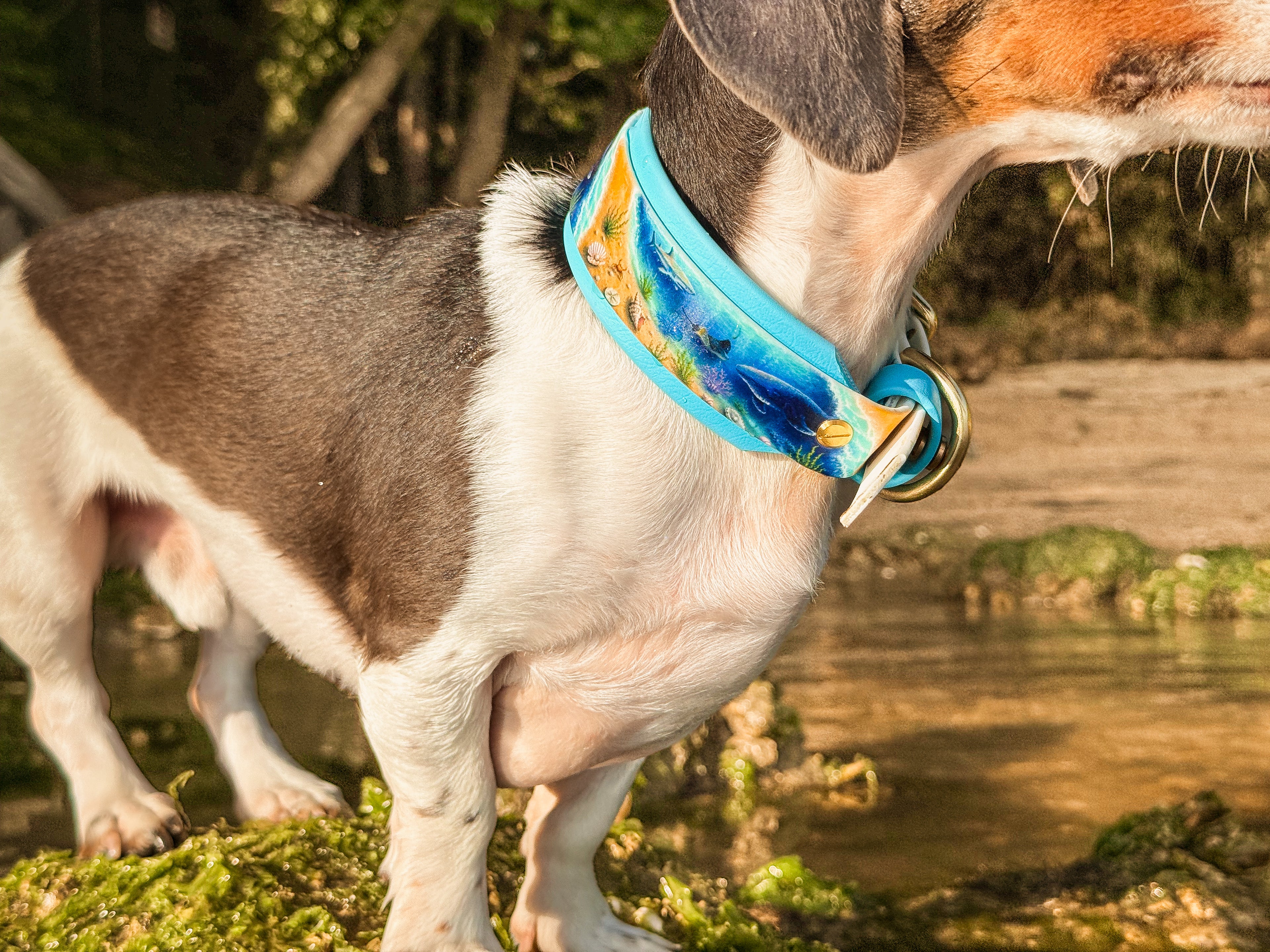 Ocean Odyessy Collar