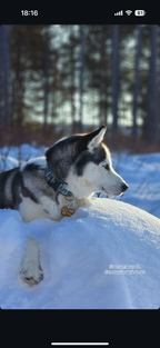 National Park Welcome Sign