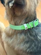 Spring Two-Toned Collar