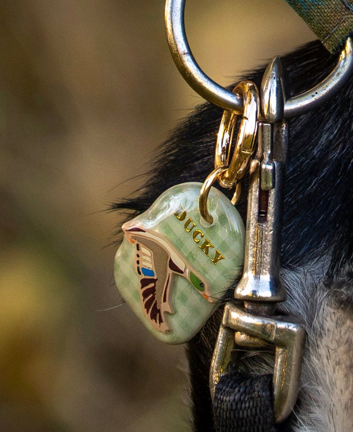 Marsh & Mallard Tag