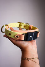 Spring Fi GPS Compatible BIO Collar