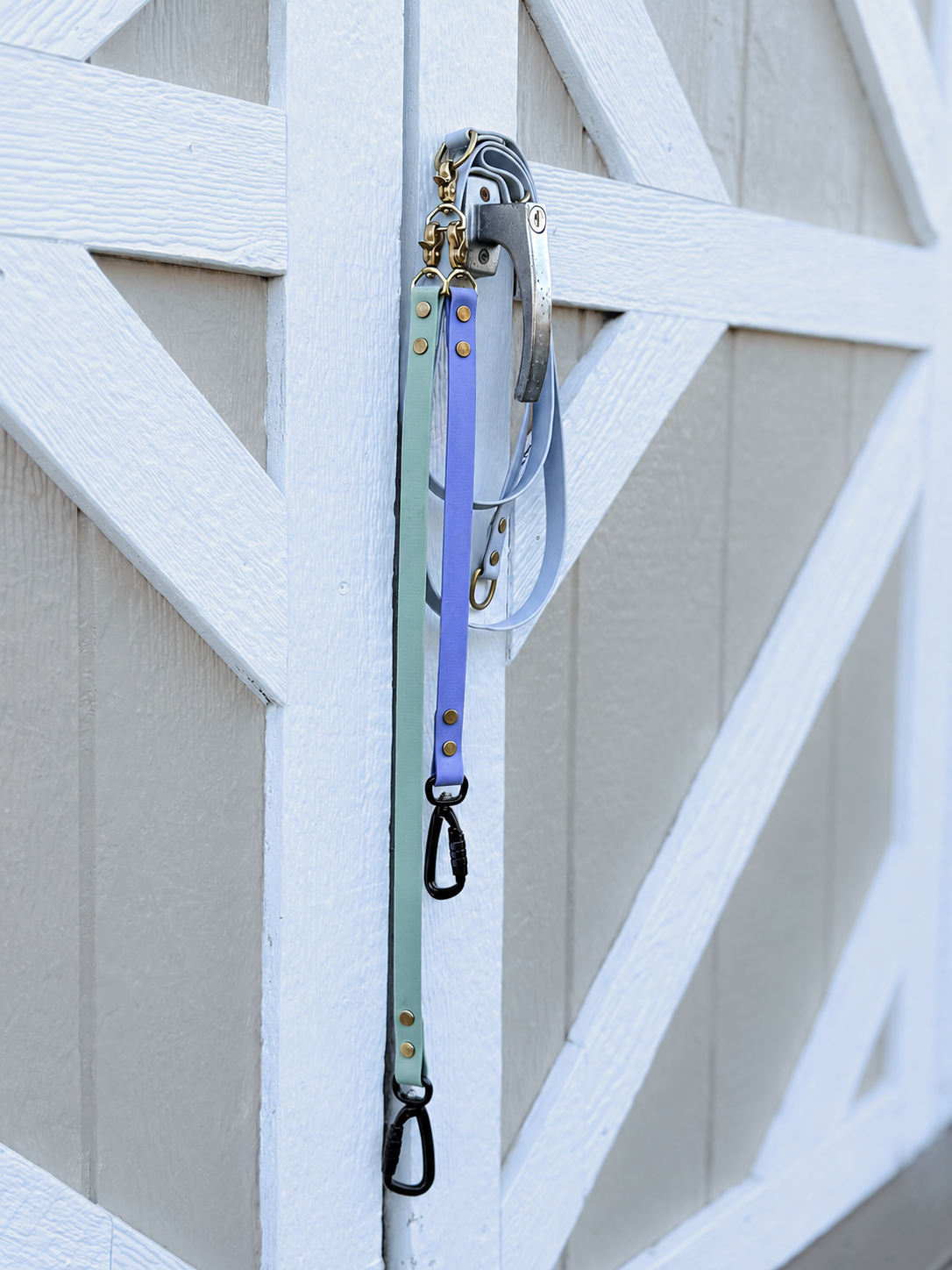 Multi-Dog Adventure Extenders (1 Extender)