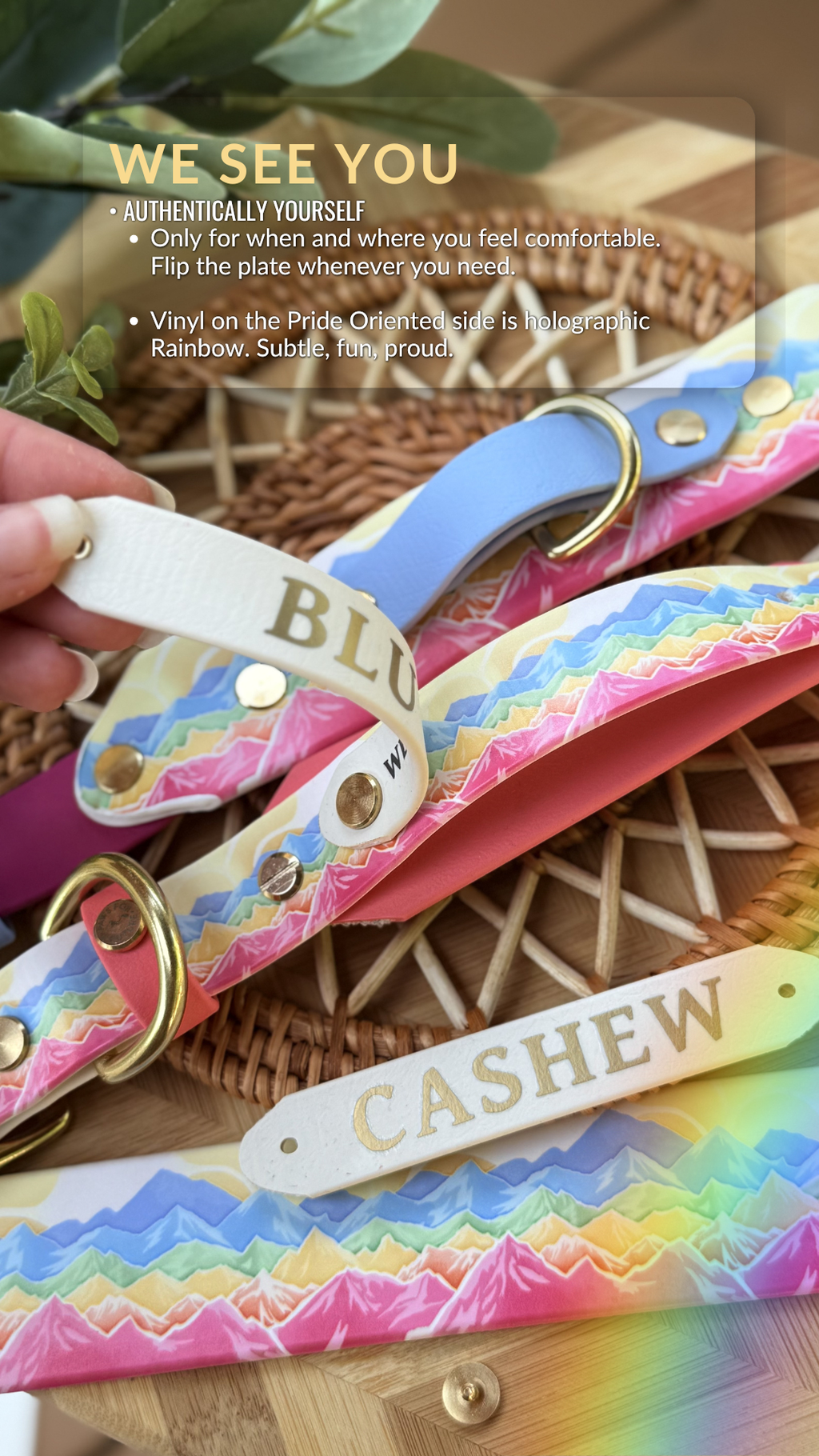 Summit Pride Collar