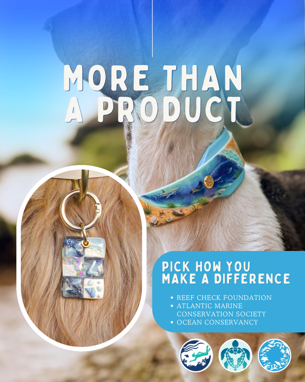 Ocean Odyessy Collar