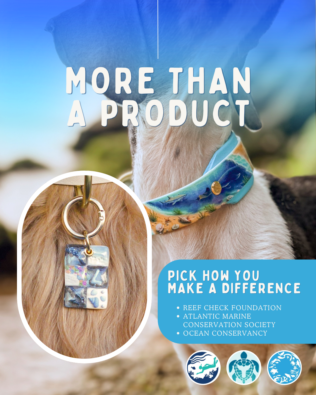 Ocean Odyessy Collar