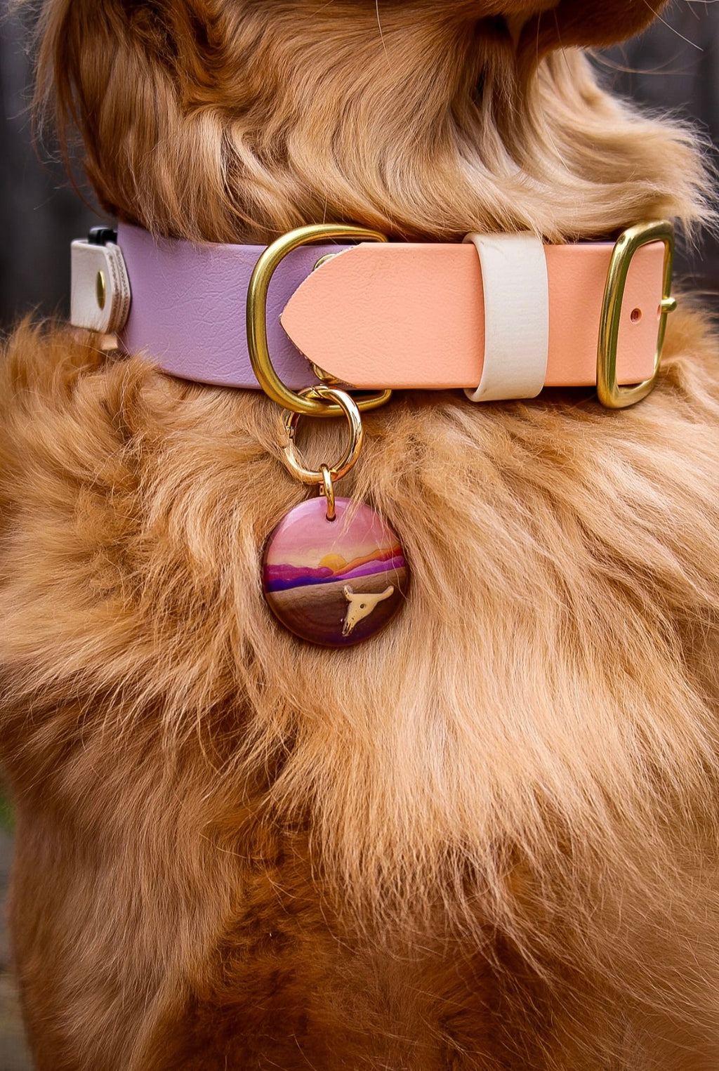 Death Valley National Park Tag