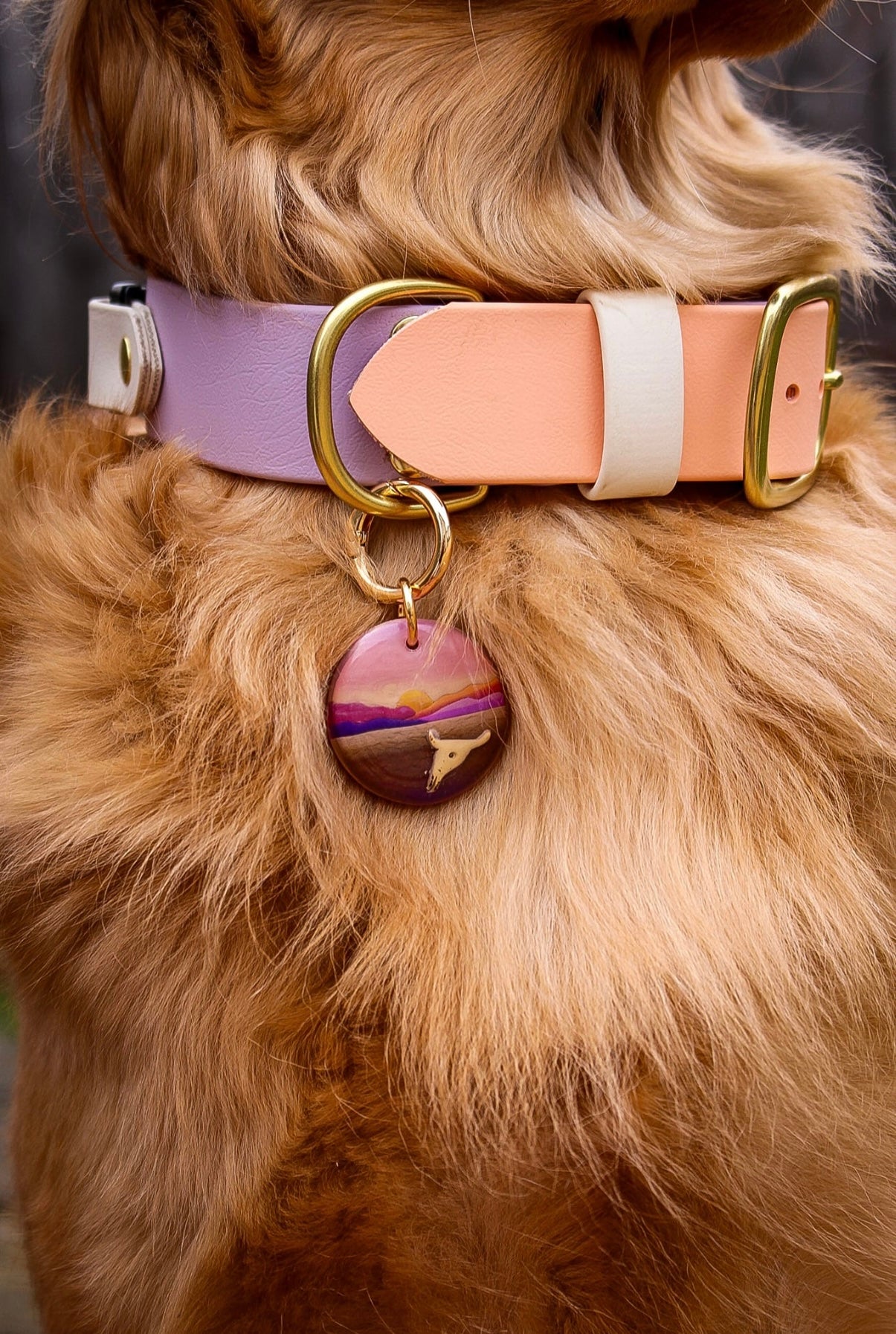 Death Valley National Park Tag