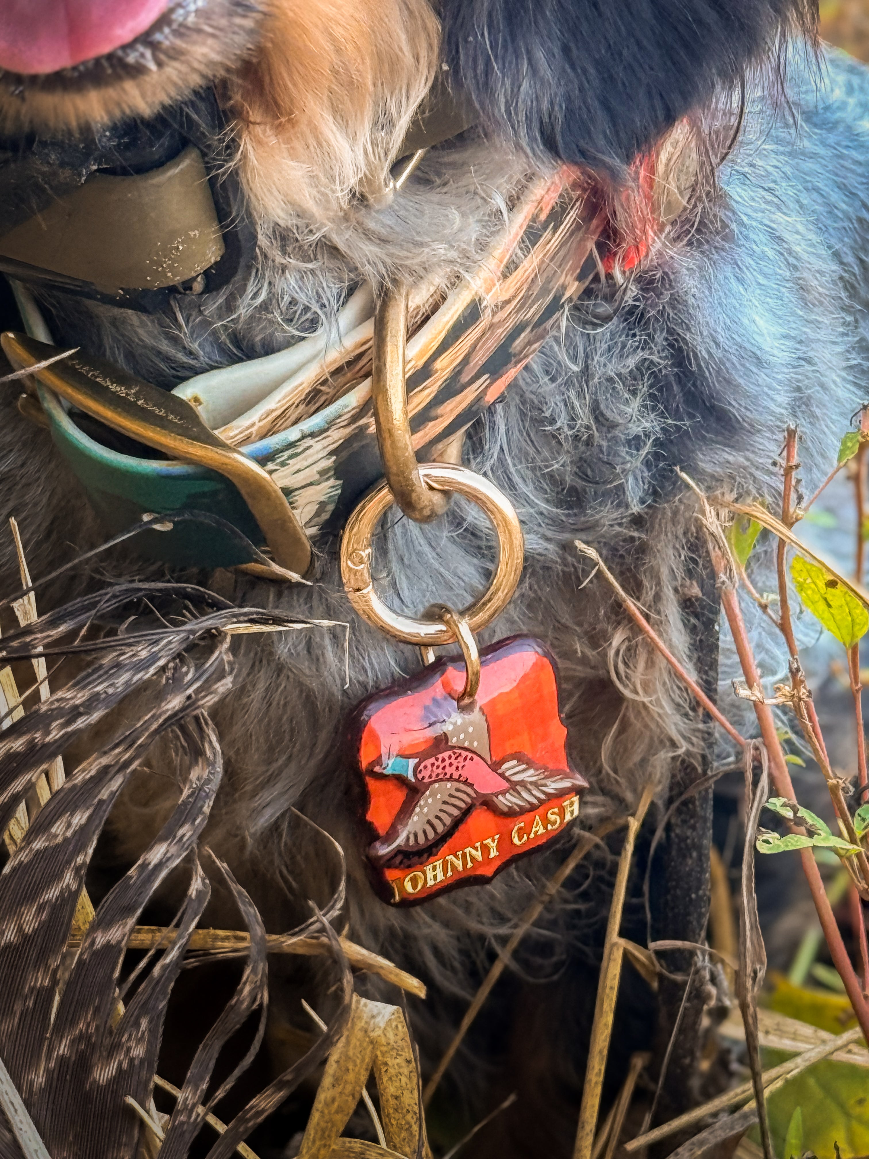 Pheasant & Flush Tag