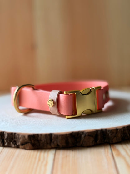 PFAF 1” Simple BioThane Quick Release Collar