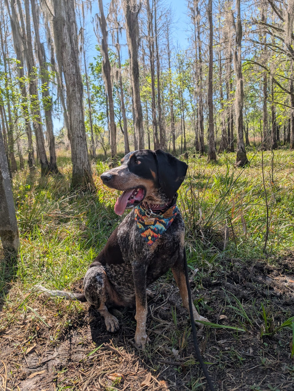 National Park Welcome Sign