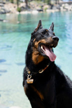 National Park Welcome Sign
