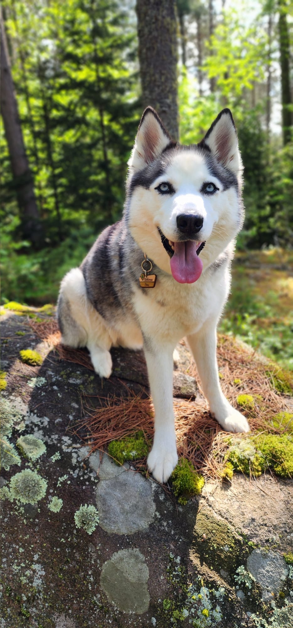 National Park Welcome Sign