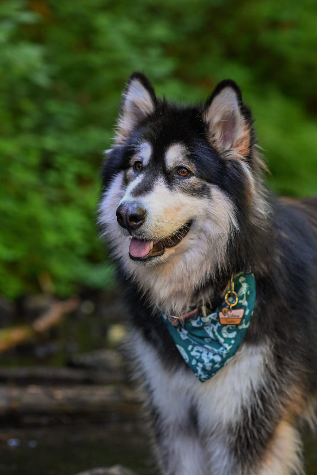 National Park Welcome Sign