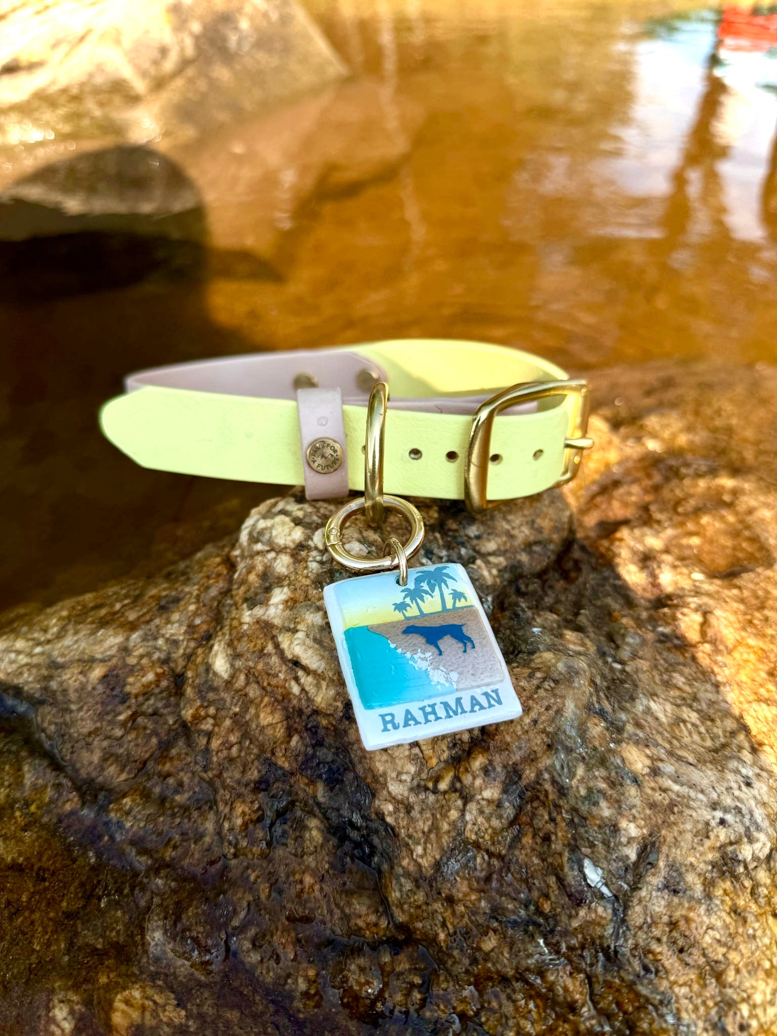 PFAF 1” Two-Toned BioThane Collar