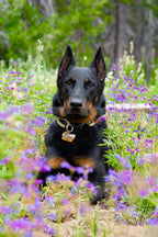 National Park Welcome Sign