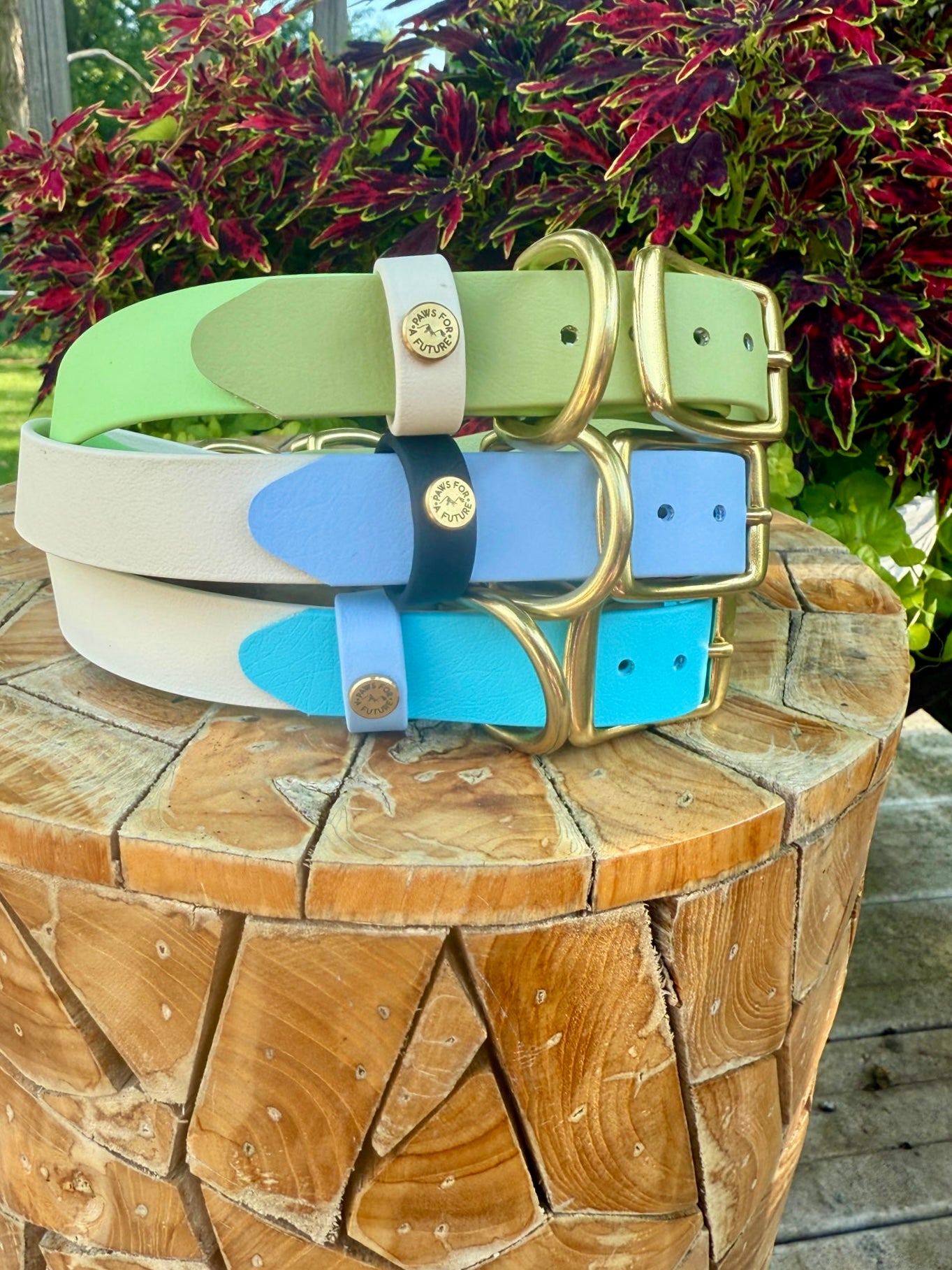 PFAF 1” Two-Toned BioThane Collar