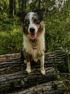 National Park Welcome Sign