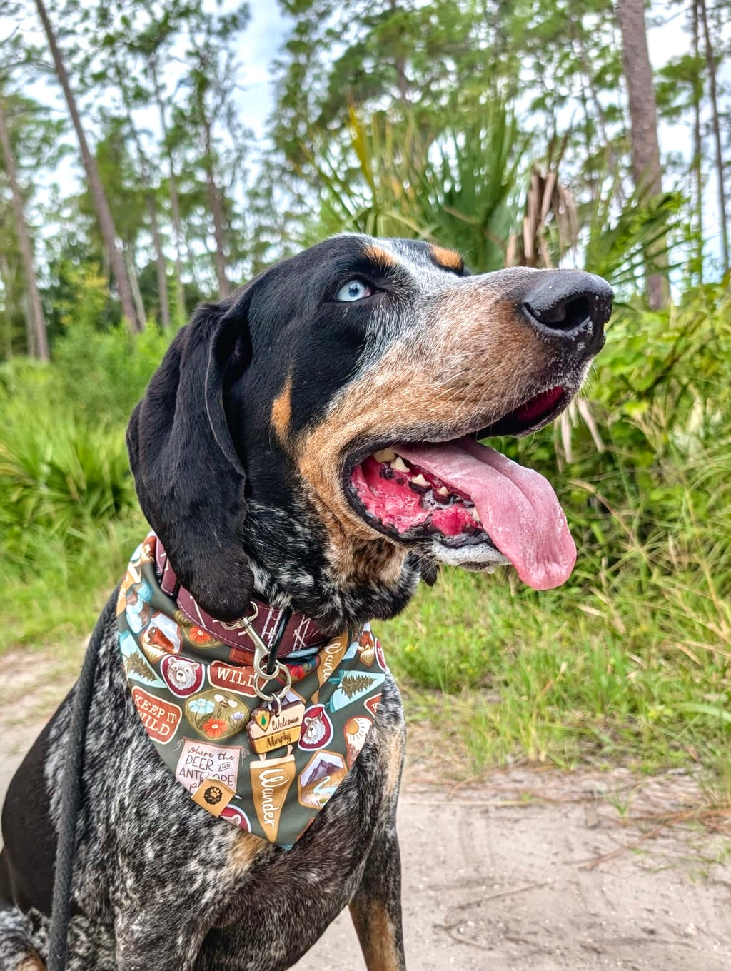 National Park Welcome Sign