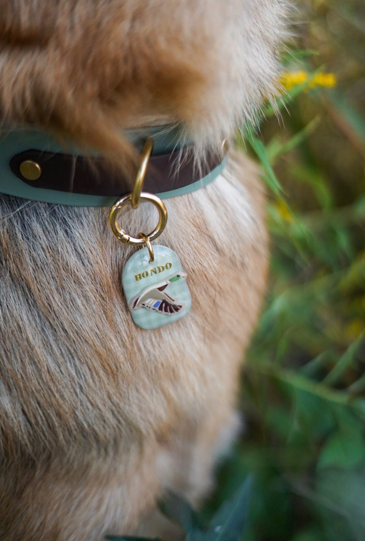 Marsh & Mallard Tag
