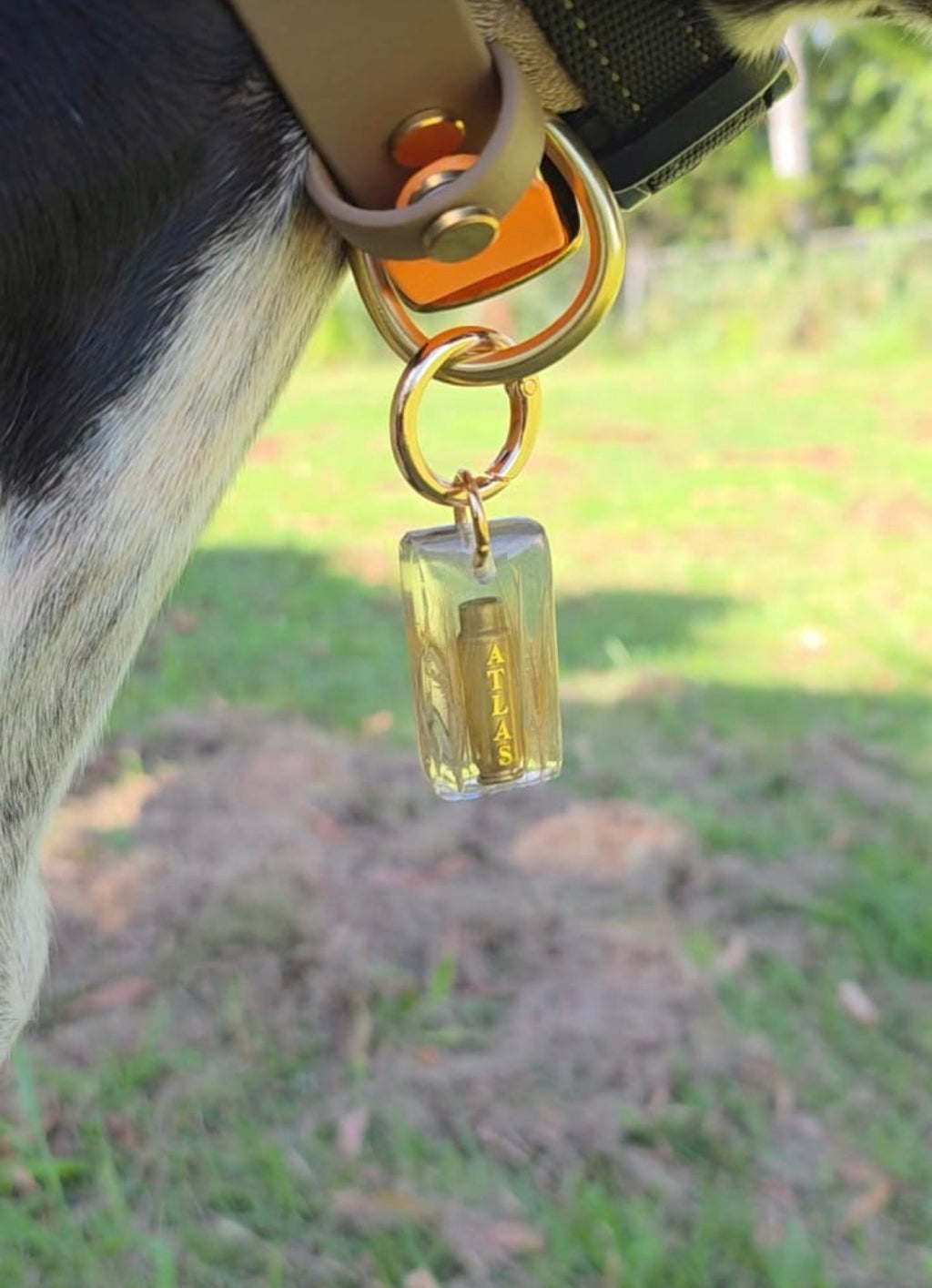 On the Range Bullet Tag