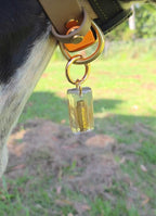 On the Range Bullet Tag