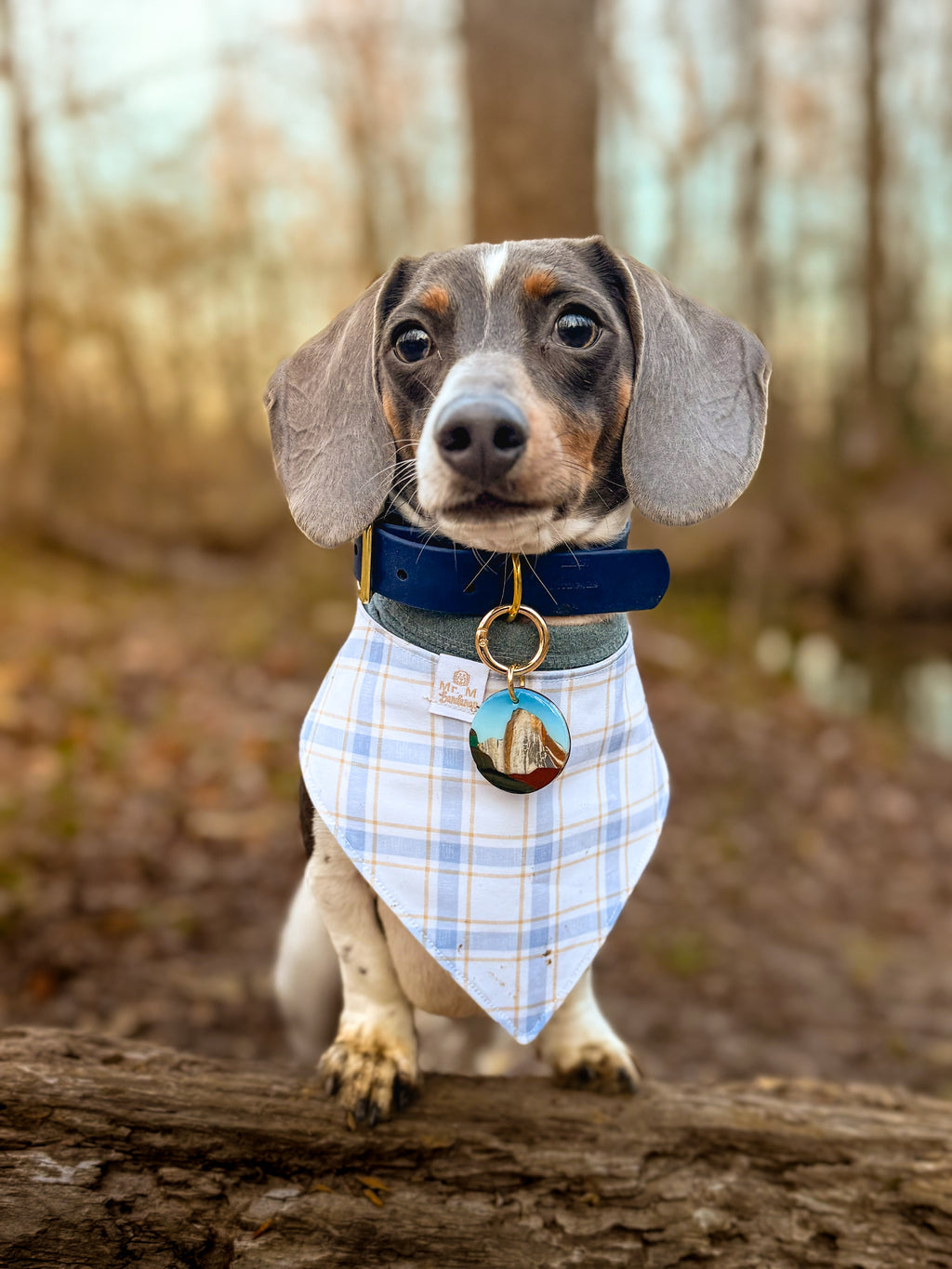 Yosemite National Park Tag