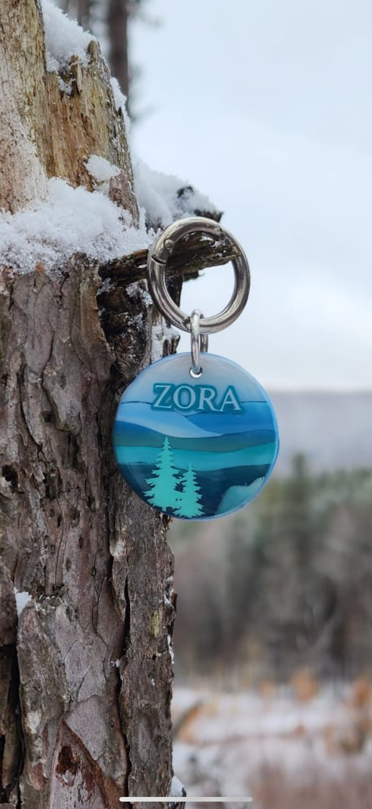 Great Smoky Mountains National Park Tag