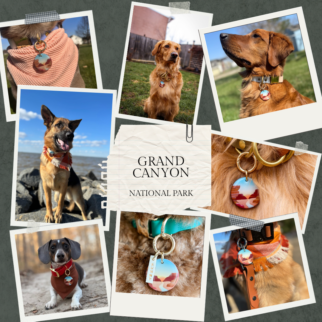 Grand Canyon National Park Tag