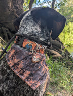 Treeing & Tracking Raccoon Tag
