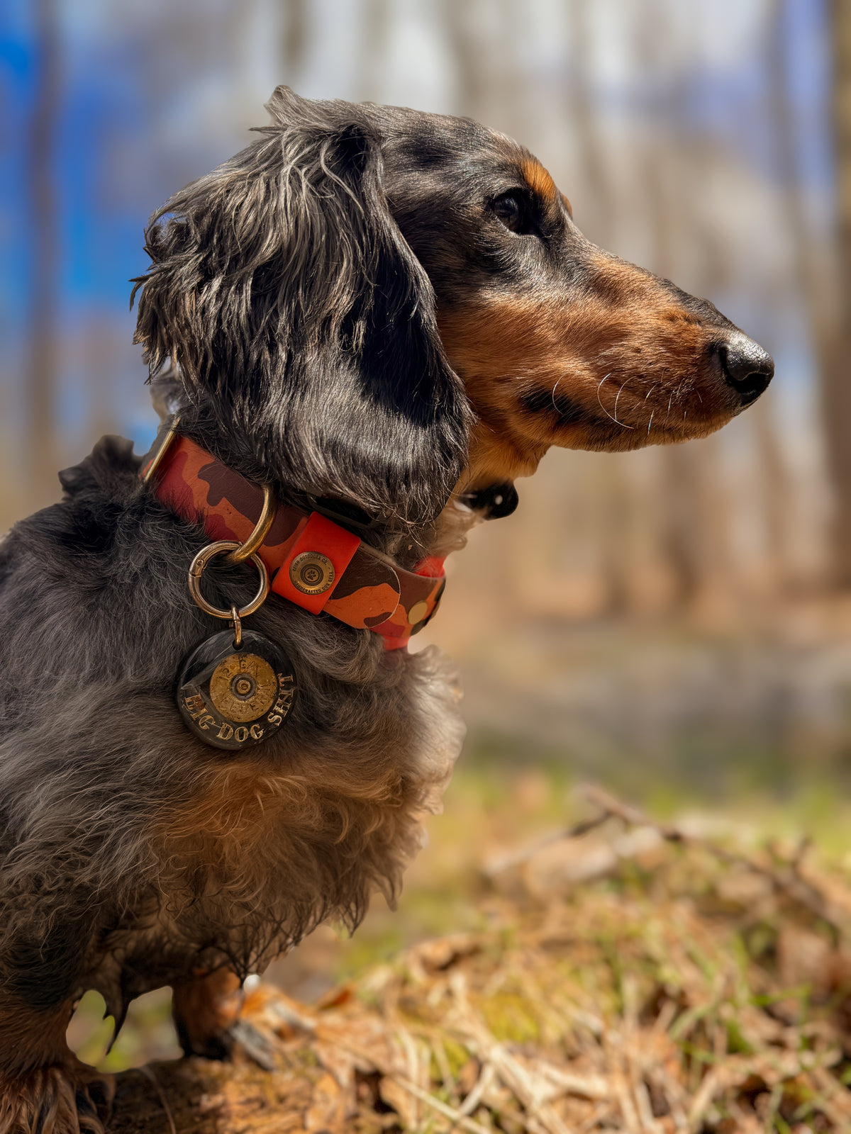 Shotgun Shell Tag